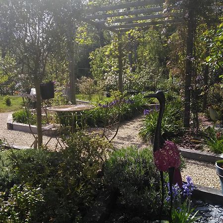 Les Muscaris Bed & Breakfast Le Minihic-sur-Rance Dış mekan fotoğraf