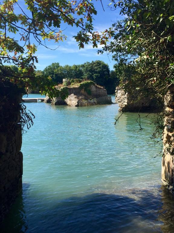Les Muscaris Bed & Breakfast Le Minihic-sur-Rance Dış mekan fotoğraf