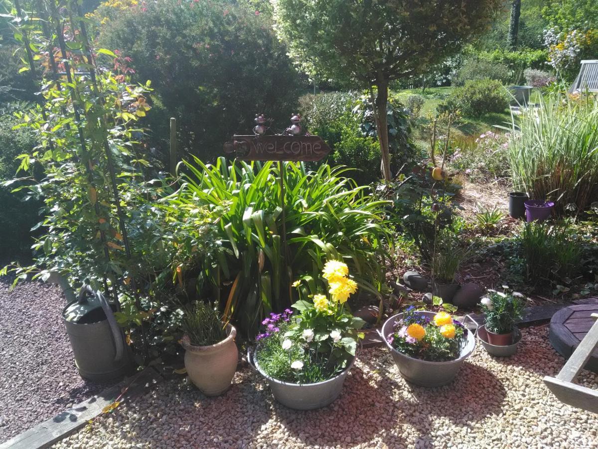 Les Muscaris Bed & Breakfast Le Minihic-sur-Rance Dış mekan fotoğraf